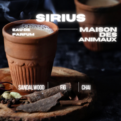 SIRIUS