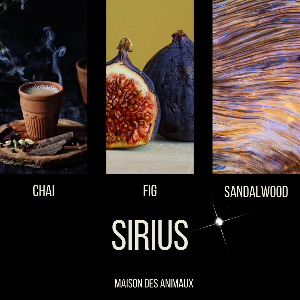 SIRIUS